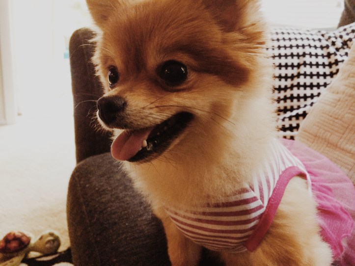 Processed with VSCOcam with m5 preset