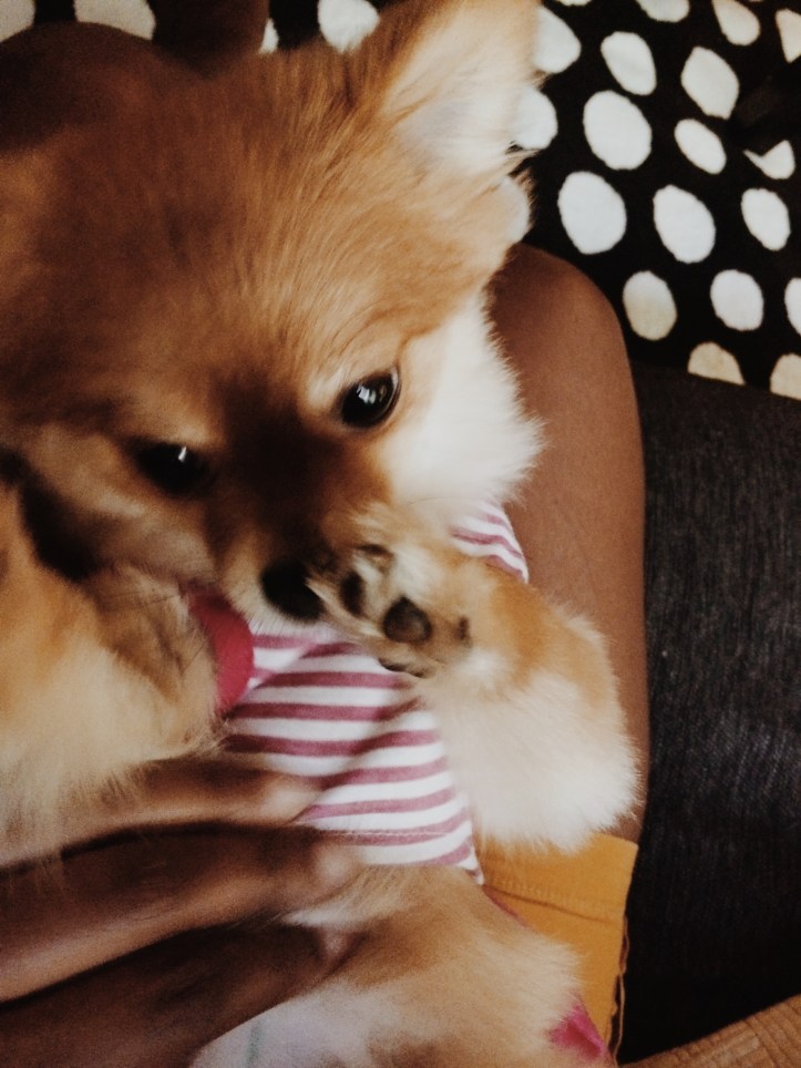 Processed with VSCOcam with m5 preset