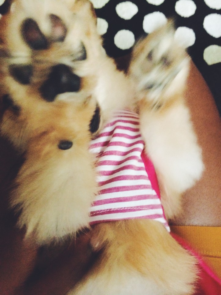 Processed with VSCOcam with f2 preset