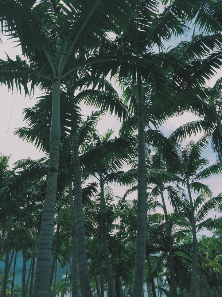 Processed with VSCOcam with c1 preset