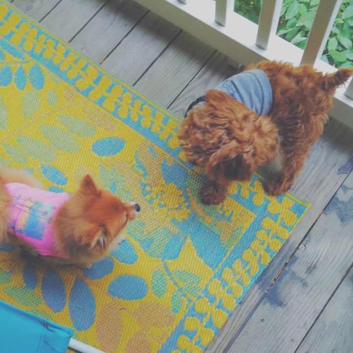 Processed with VSCOcam with f2 preset