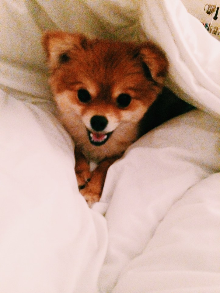 Processed with VSCOcam with c1 preset