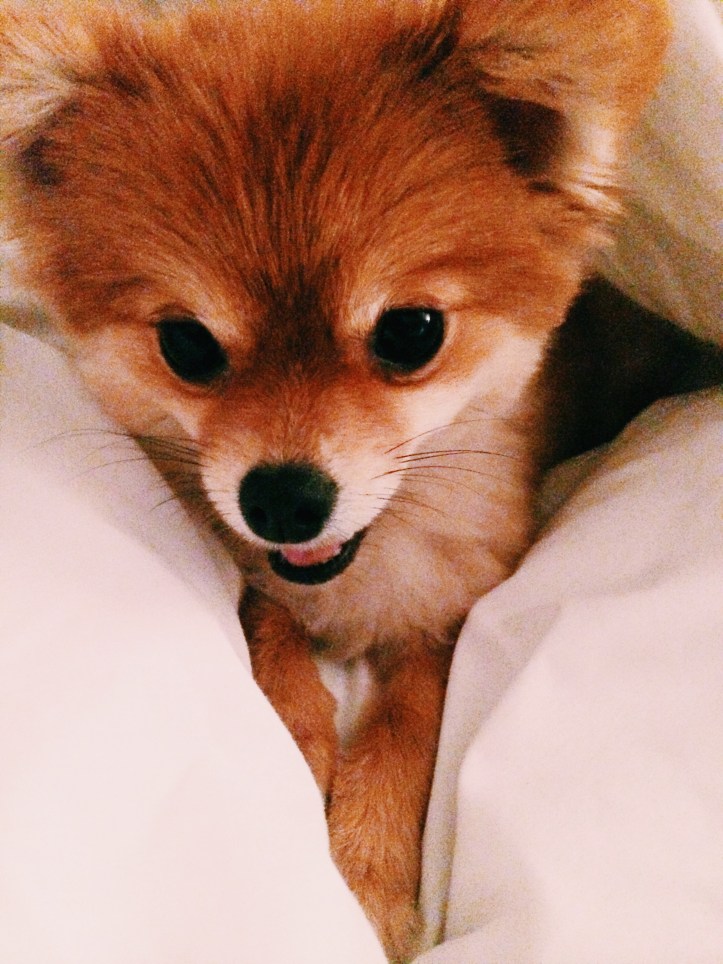 Processed with VSCOcam with c1 preset