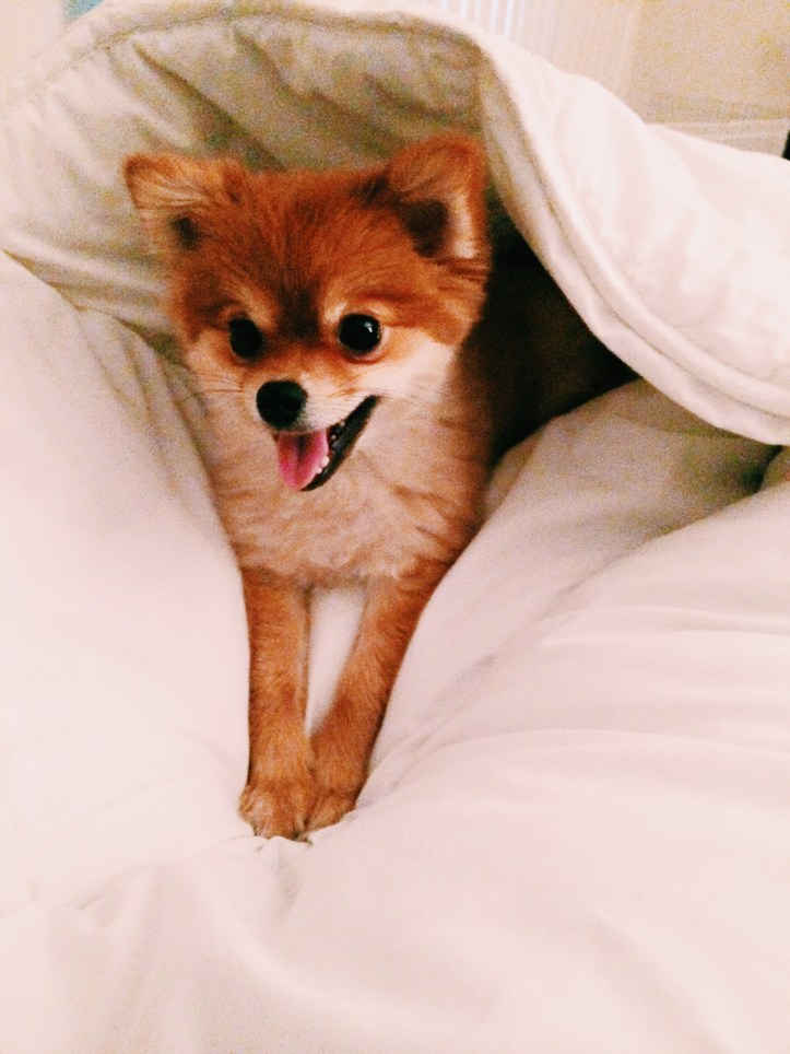 Processed with VSCOcam with c1 preset