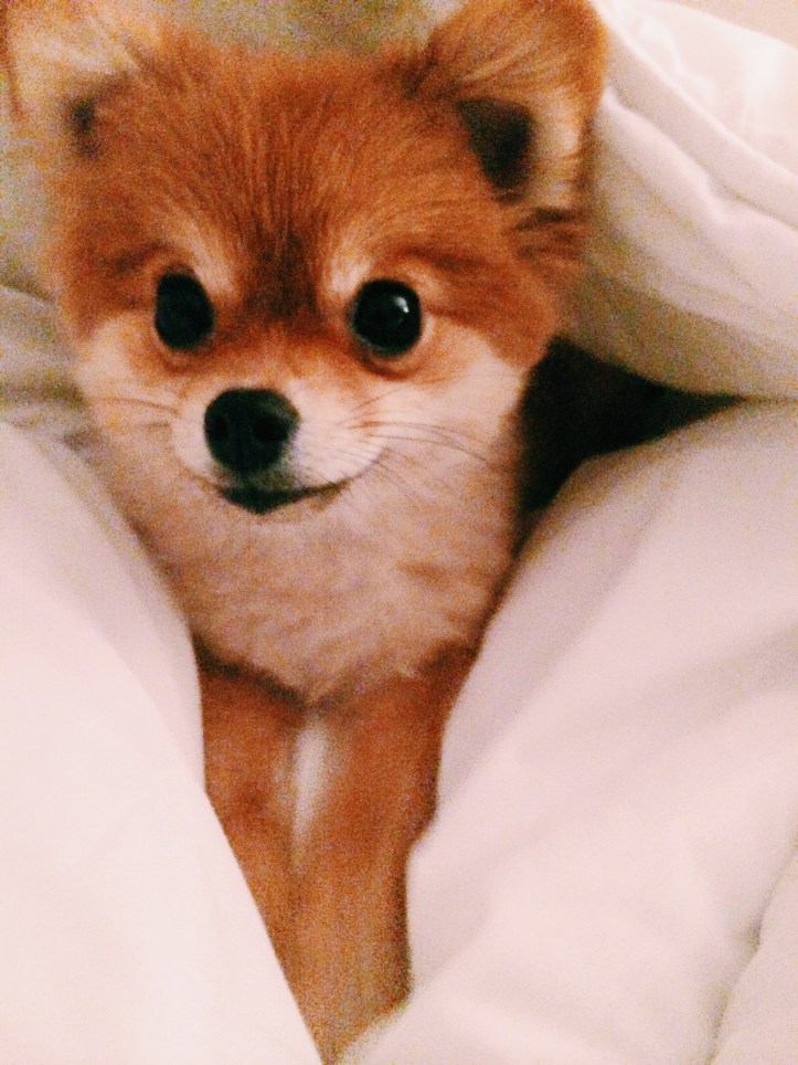 Processed with VSCOcam with c1 preset