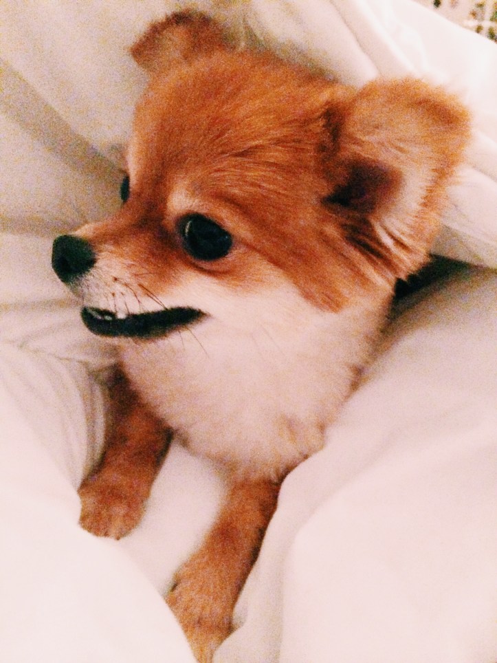 Processed with VSCOcam with c1 preset