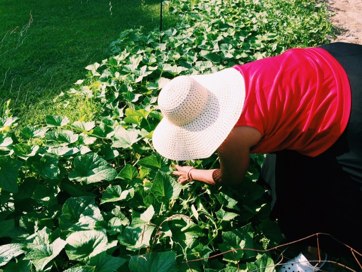 Processed with VSCOcam with c1 preset