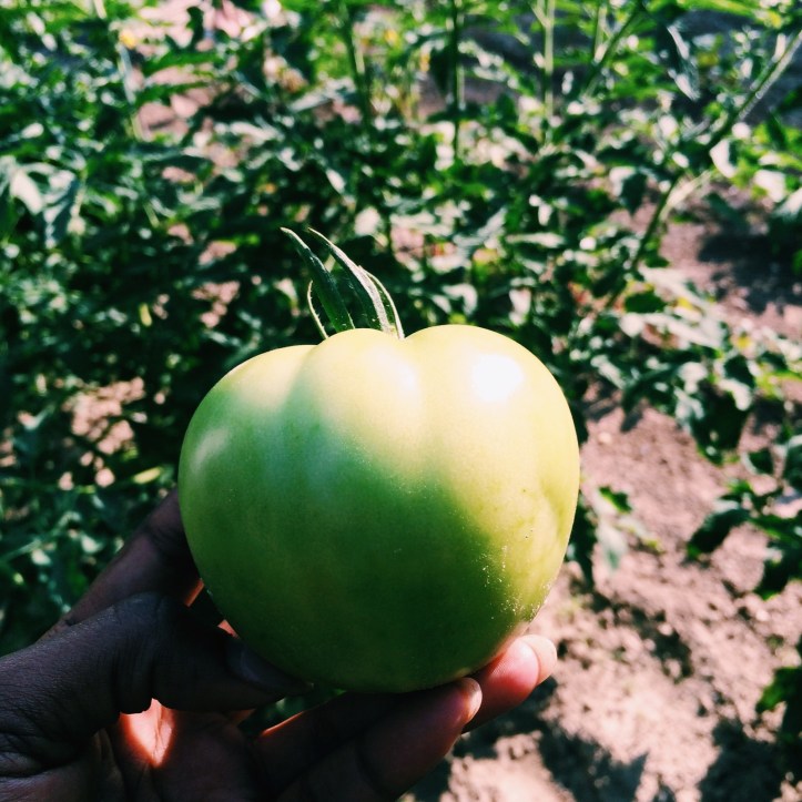 Processed with VSCOcam with c1 preset