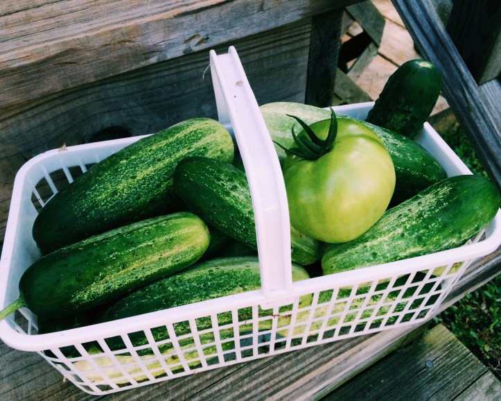 Processed with VSCOcam with c1 preset