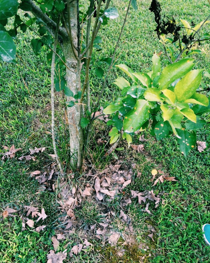 Processed with VSCOcam with c1 preset