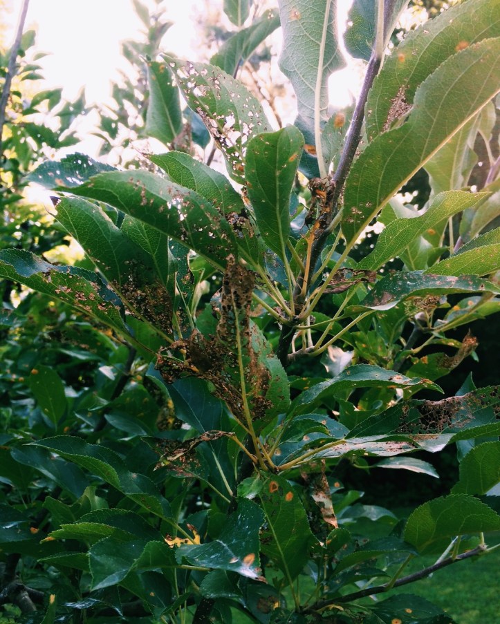 Processed with VSCOcam with c1 preset