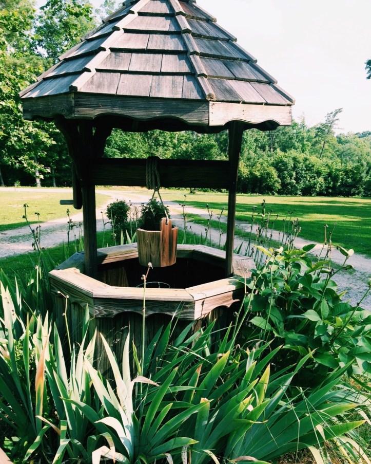 Processed with VSCOcam with c1 preset