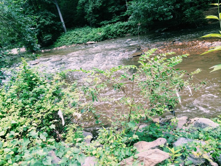 Processed with VSCOcam with c1 preset