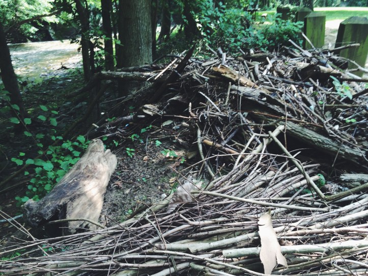 Processed with VSCOcam with f2 preset