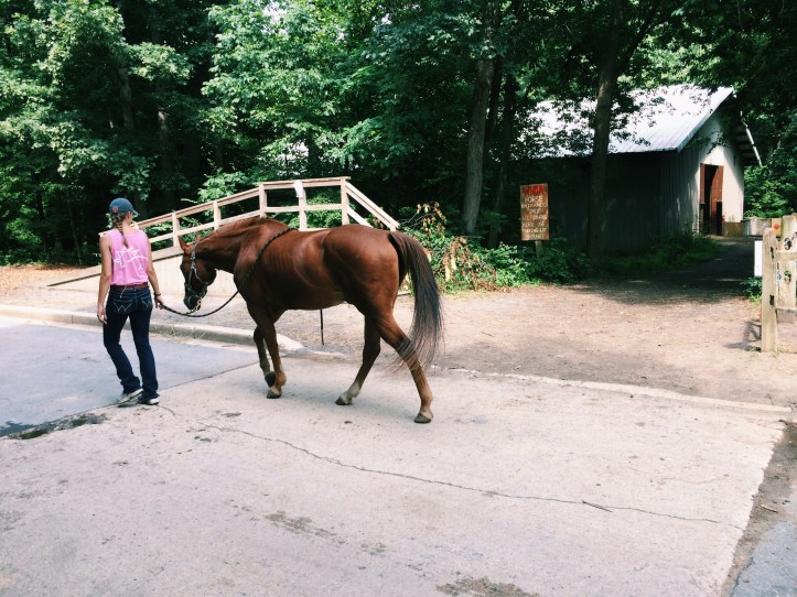 Processed with VSCOcam with c1 preset